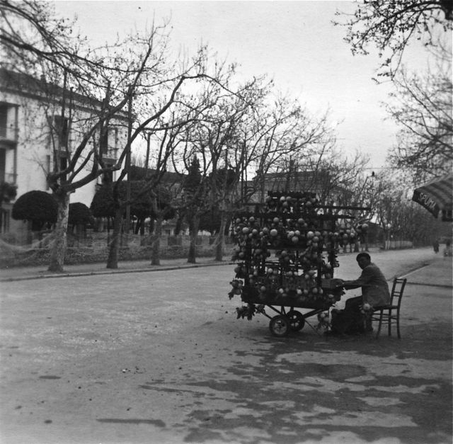 Gregory was de enige in ons dorp met een echte bollenwinkel.